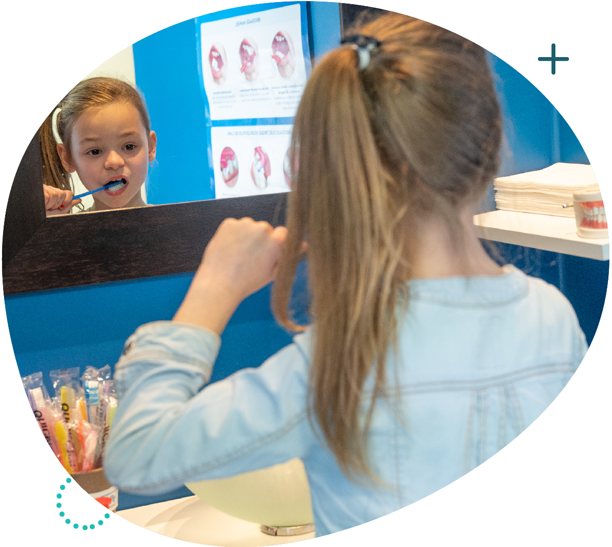 Coin hygiène - Docteur Petitprez - Orthodontiste à Estaires.
